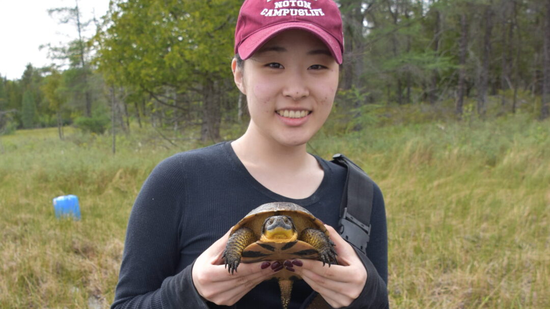 Yuri Song holding a turtle and smiling